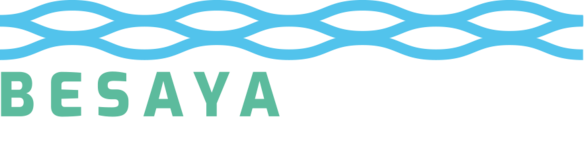 Logo oficial de Besaya delibera en Europa