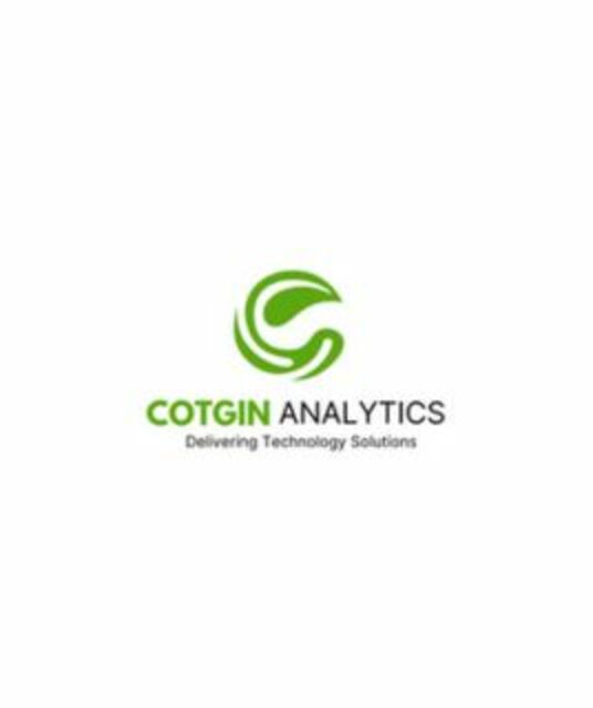 avatar Cotgin Analytics