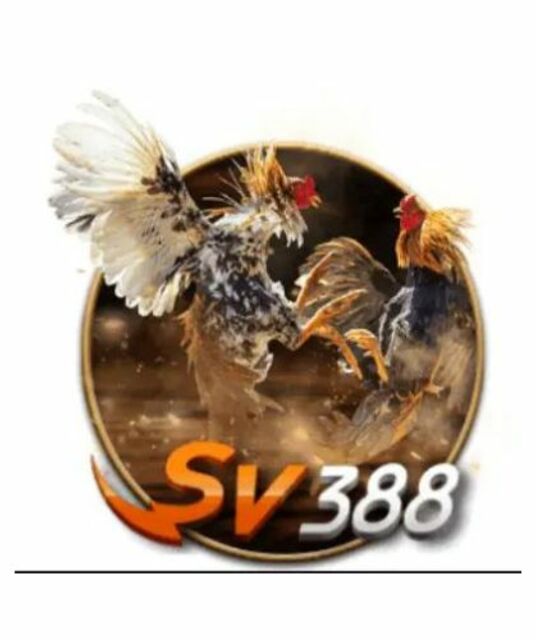avatar SV388 SARL